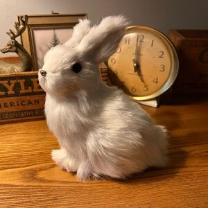 White fur arctic winter rabbit hare bunny